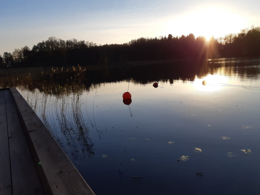 Vinterbad i Mälaren