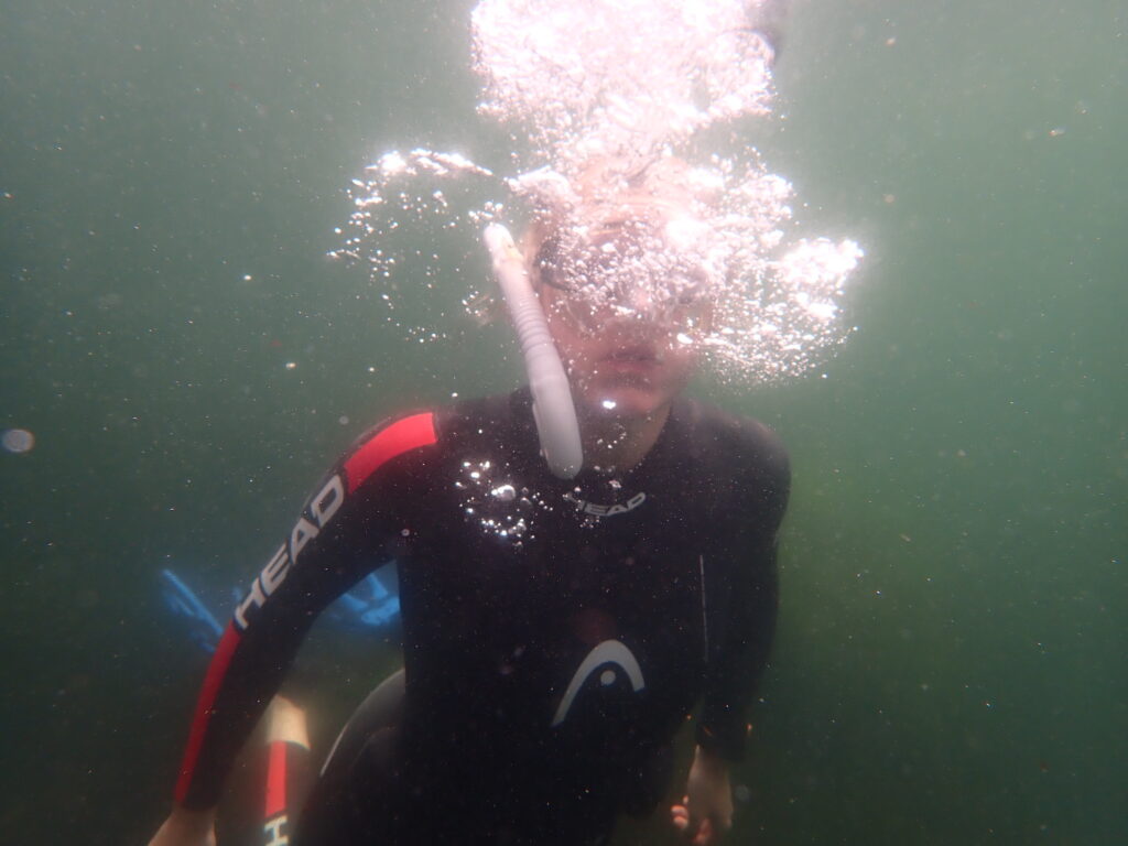 Snorkling på Saltö